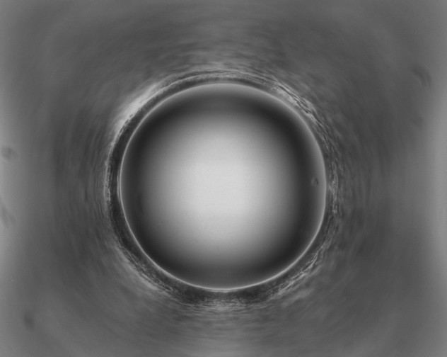 X0000090930248200708061608