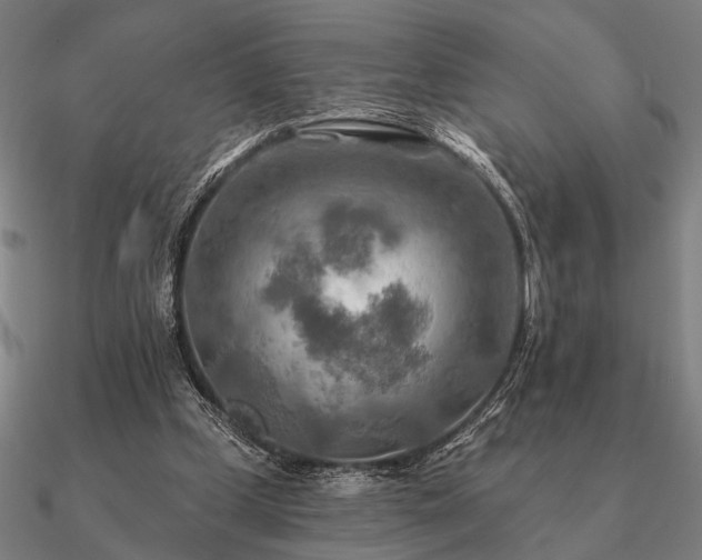 X0000090930249200708061608