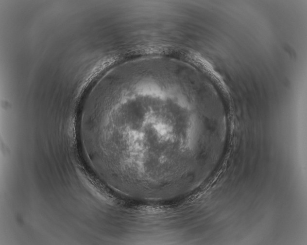 X0000090930250200708061608