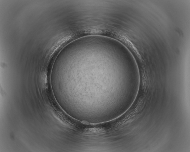 X0000090930251200708061608