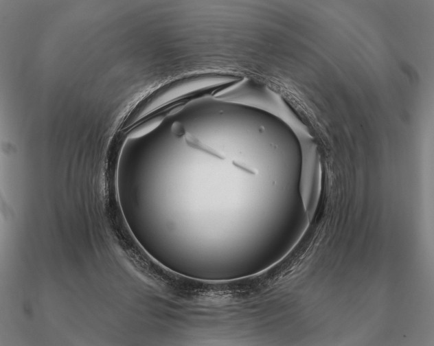 X0000090930252200708061608