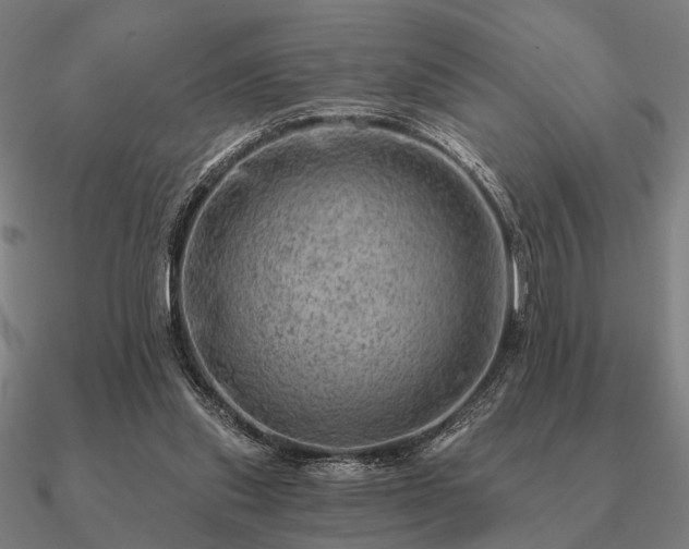 X0000090930253200708061609