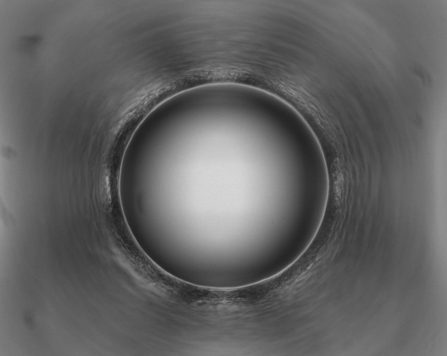 X0000090930254200708061609