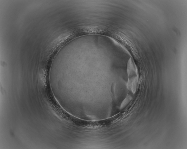 X0000090930255200708061609