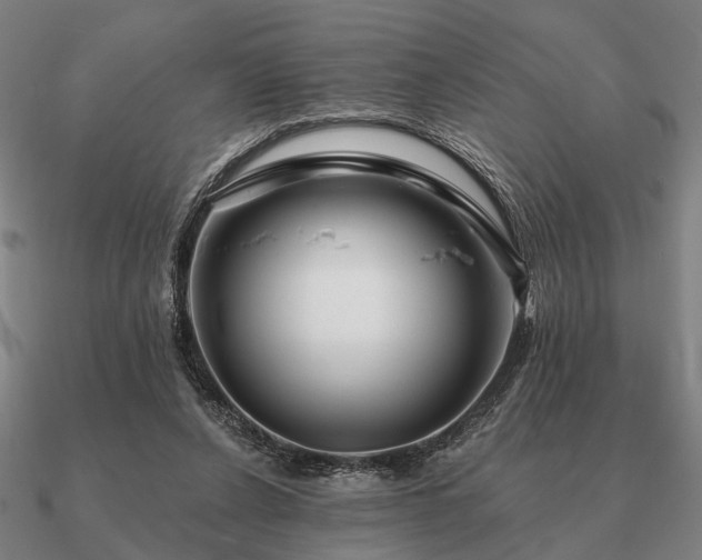 X0000090930256200708061609