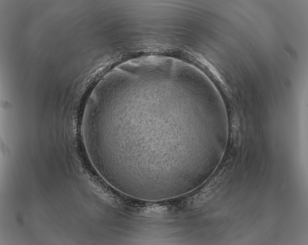 X0000090930257200708061609