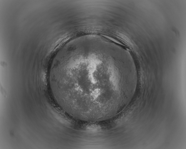 X0000090930258200708061609