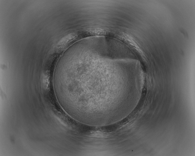 X0000090930259200708061609