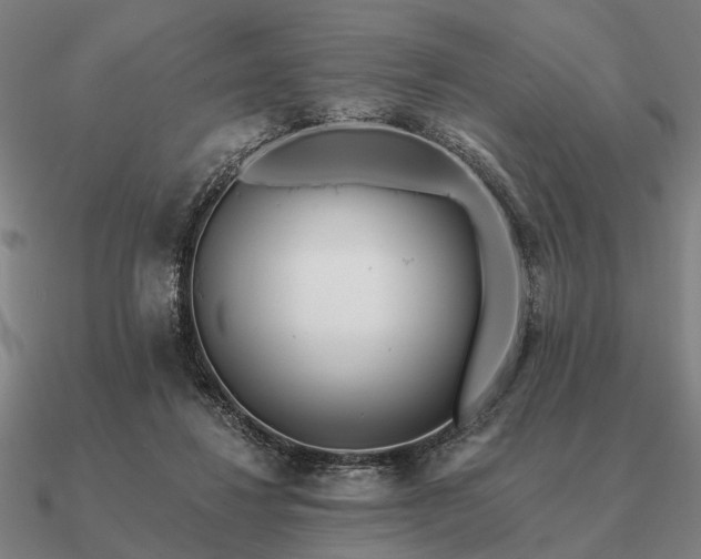 X0000090930260200708061609