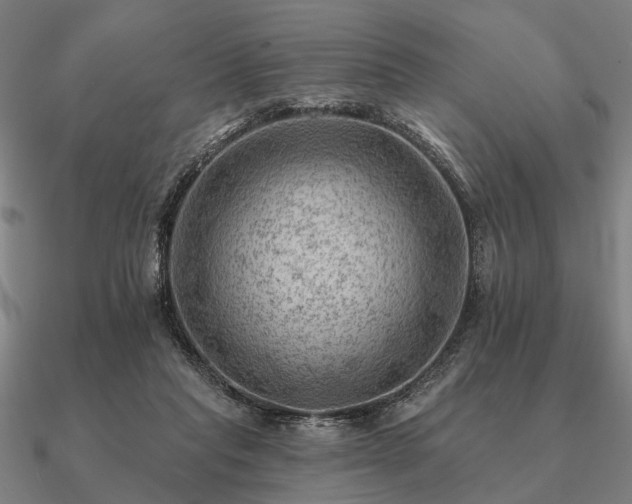 X0000090930261200708061609