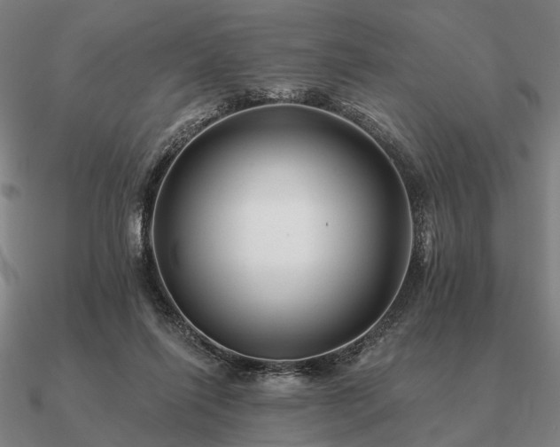 X0000090930262200708061609