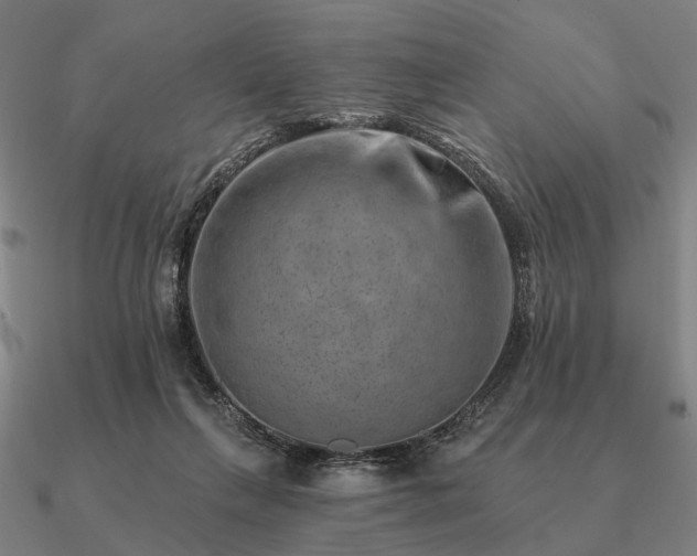 X0000090930263200708061609