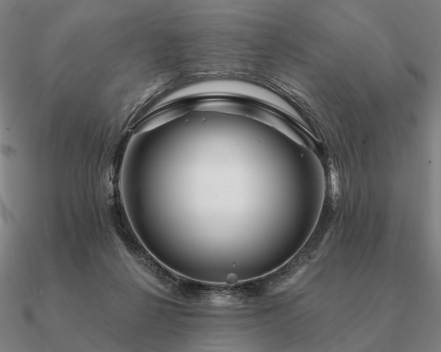 X0000090930264200708061609