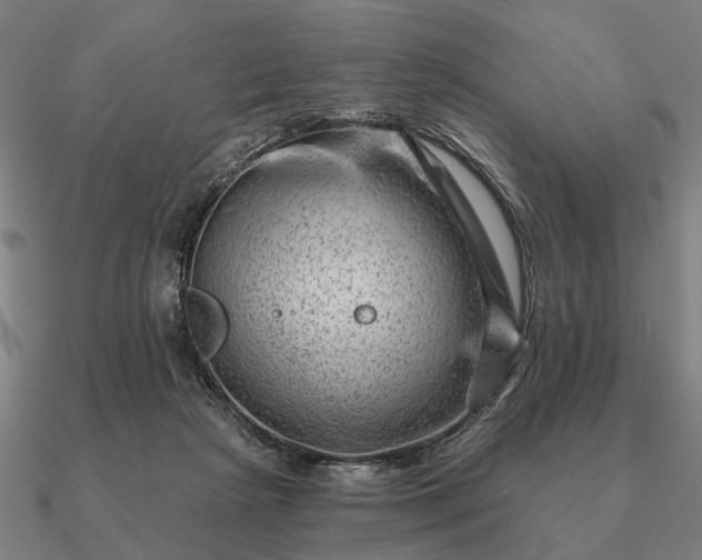 X0000090930265200708061609