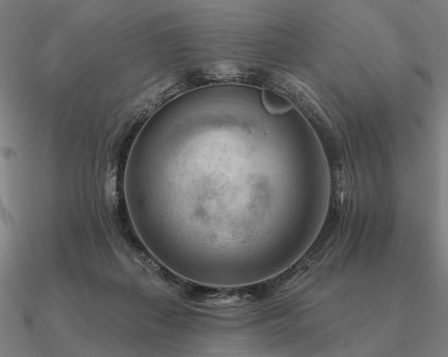 X0000090930267200708061609