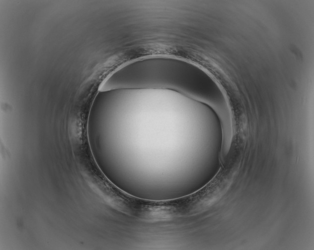 X0000090930268200708061609