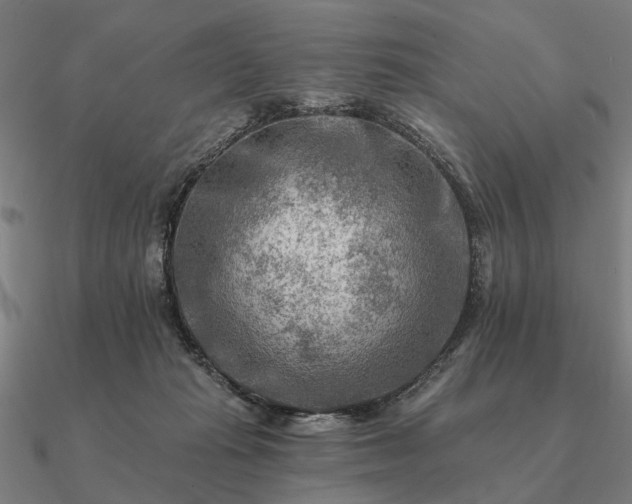 X0000090930269200708061609