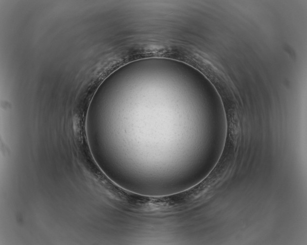 X0000090930270200708061609