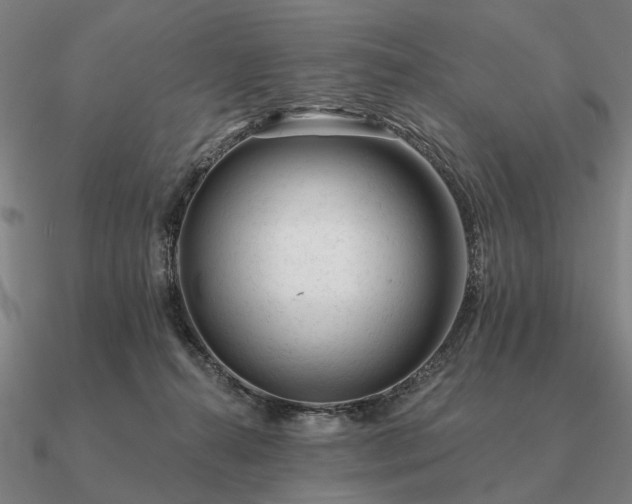 X0000090930272200708061609