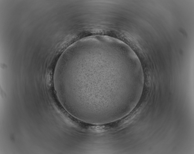 X0000090930273200708061609