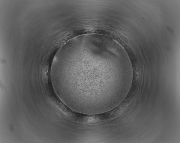 X0000090930275200708061609