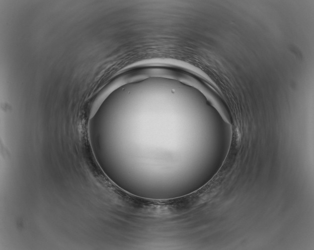 X0000090930276200708061609