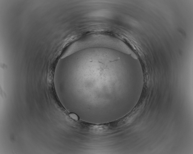 X0000090930277200708061609