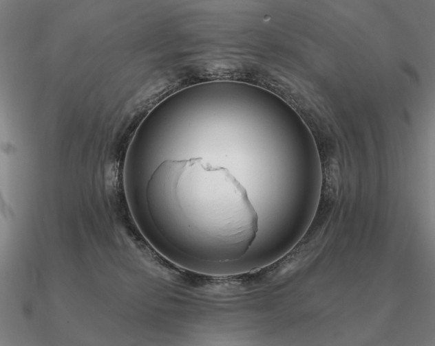 X0000090930278200708061609