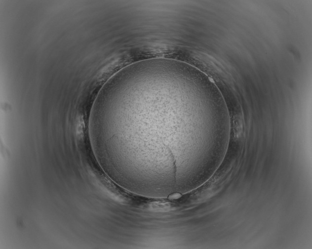 X0000090930279200708061609