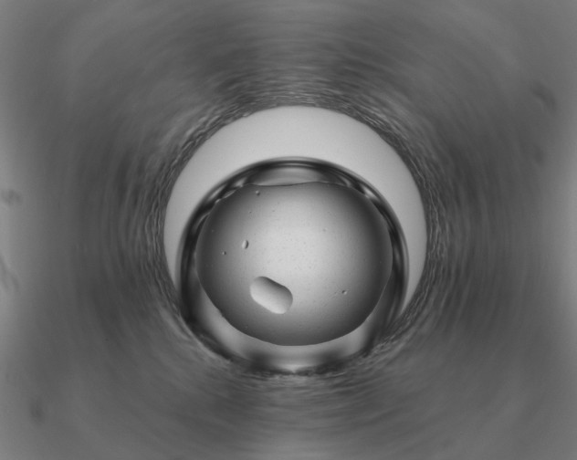 X0000090930280200708061609