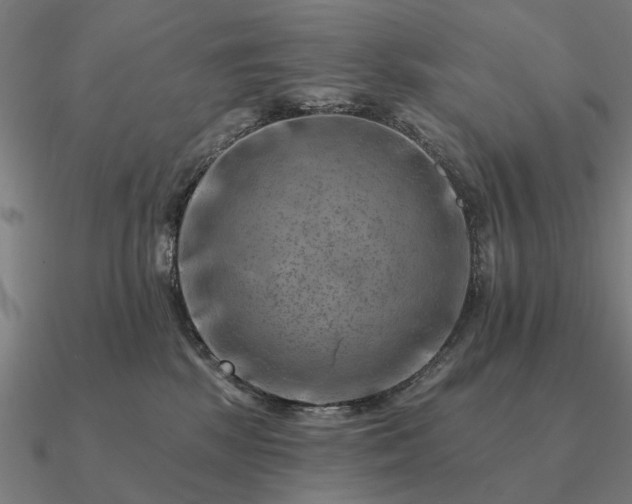 X0000090930281200708061609