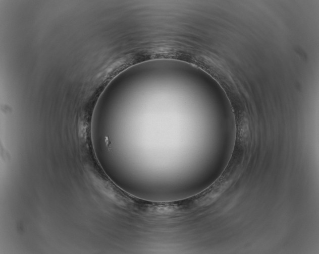 X0000090930282200708061609