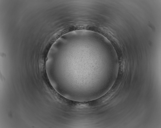 X0000090930283200708061609