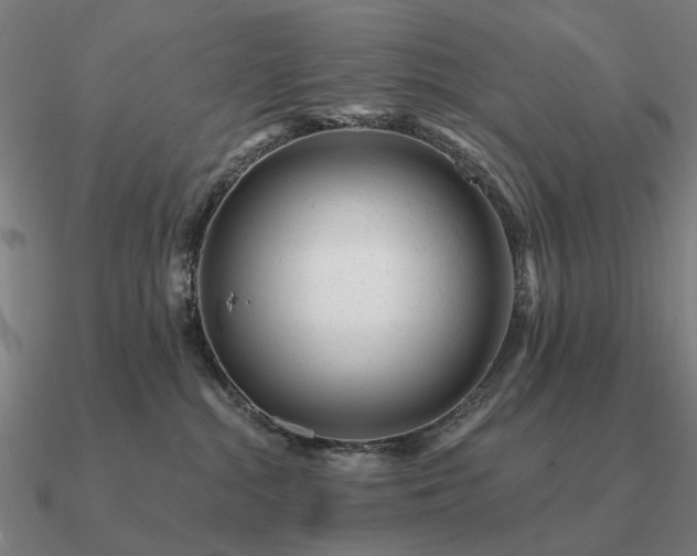 X0000090930284200708061609