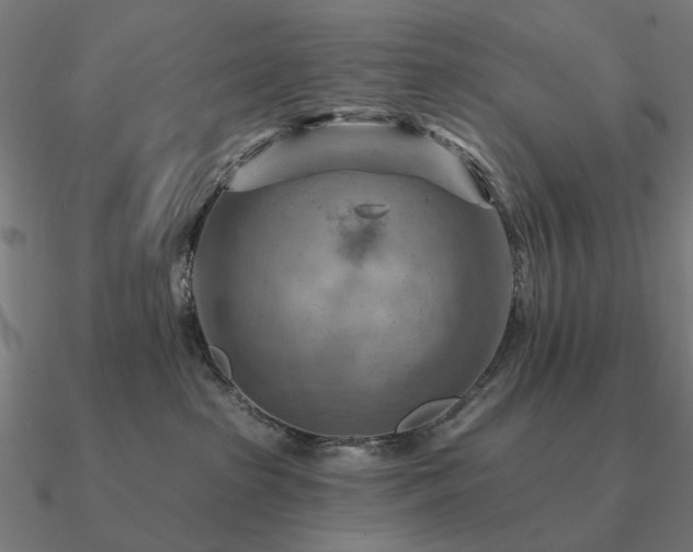 X0000090930285200708061609