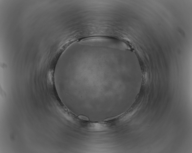 X0000090930286200708061609