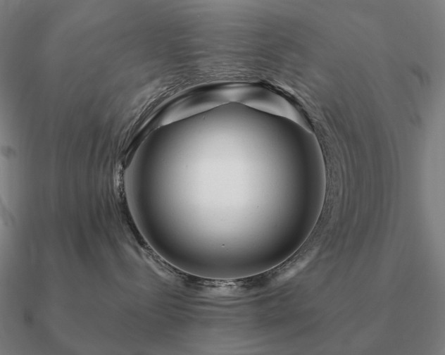 X0000090930288200708061609