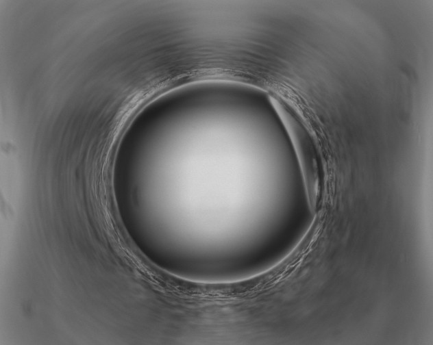 X0000090930289200708061608