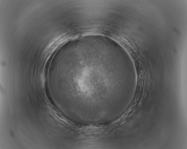 X0000090930290200708061608