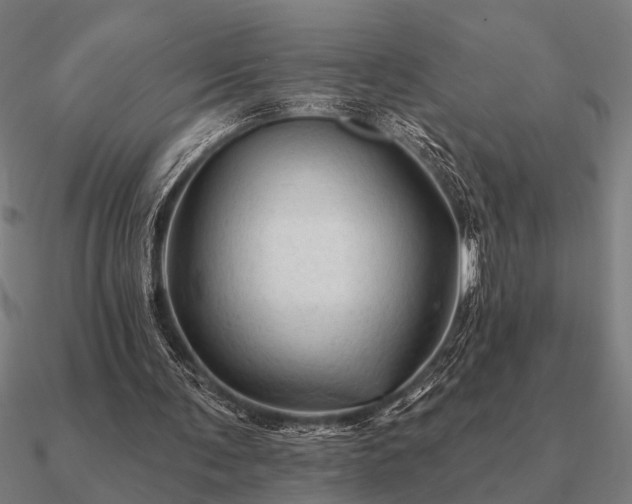 X0000090930291200708061608