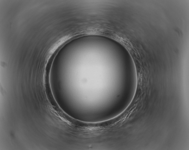 X0000090930292200708061608