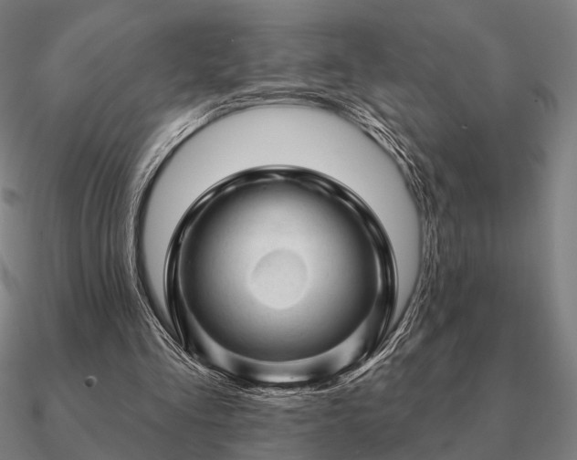 X0000090930293200708061608