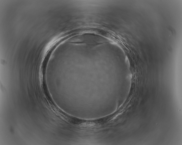 X0000090930294200708061608