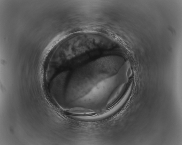 X0000090930295200708061608