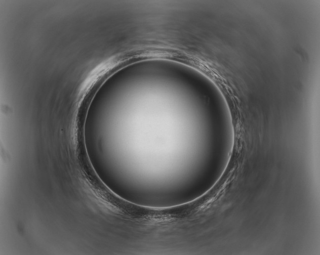 X0000090930296200708061608