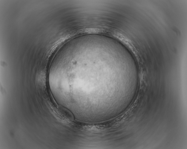 X0000090930297200708061608