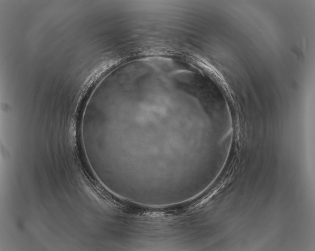 X0000090930298200708061608