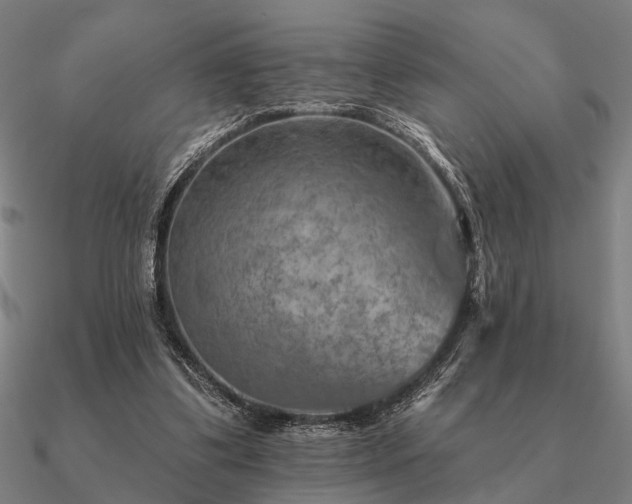 X0000090930299200708061608