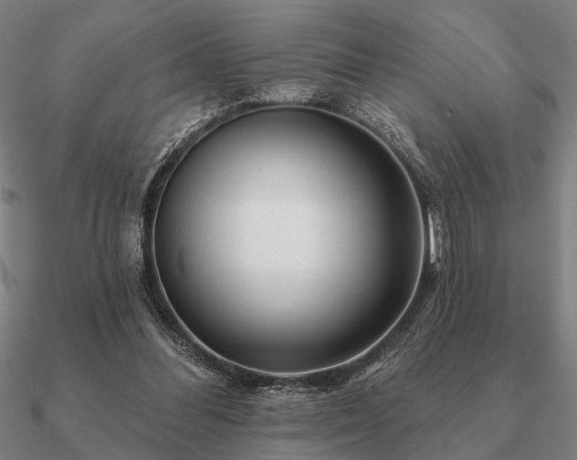 X0000090930300200708061608