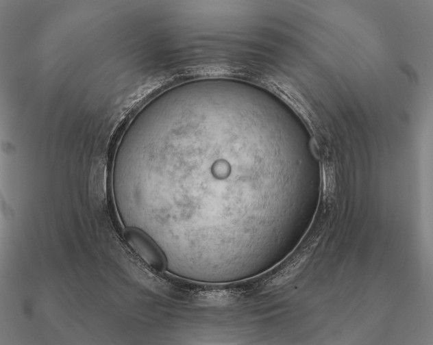 X0000090930301200708061608